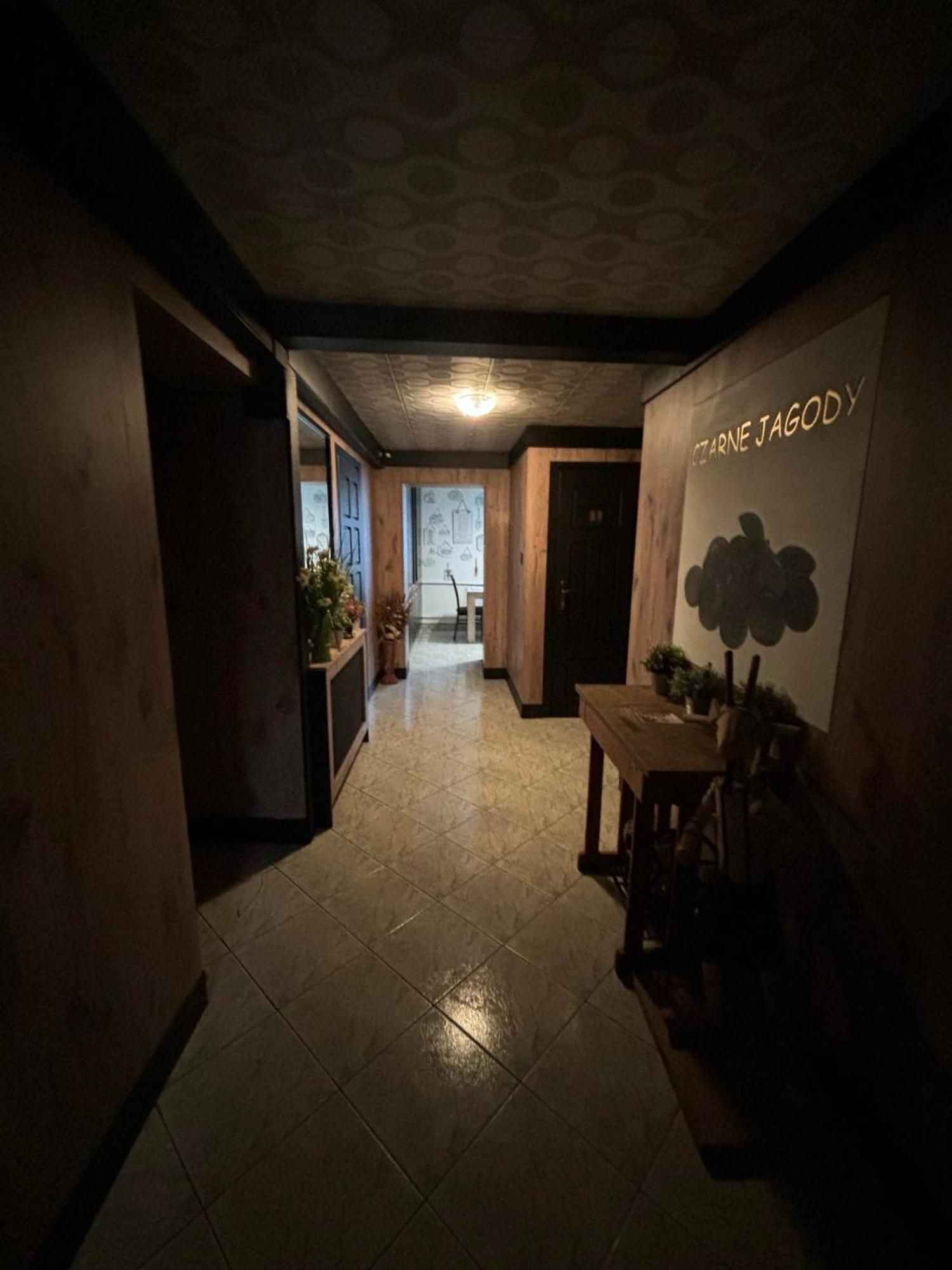 Czarne Jagody Apartment Koscielisko Luaran gambar